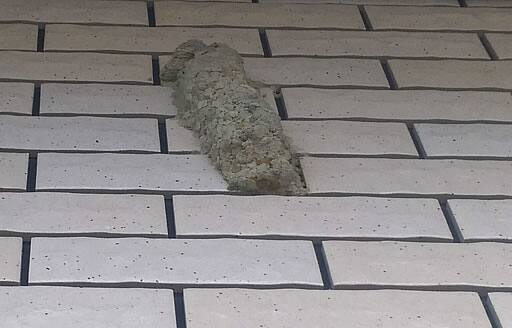 ドロバチの巣注意点外壁